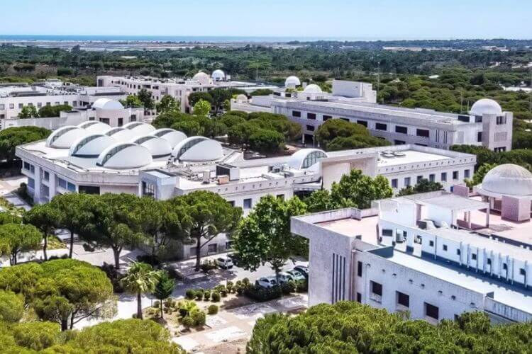 Trường Đại học Algarve