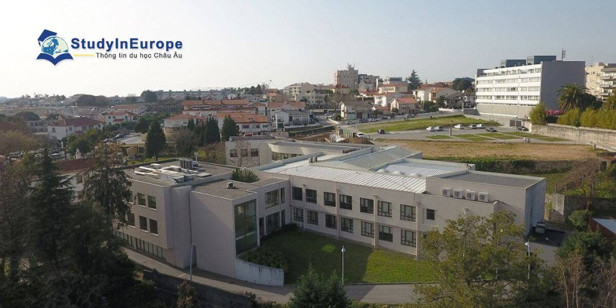 Review Học viện Cao cấp Entre Douro và Vouga (Instituto Superior de Entre Douro e Vouga)