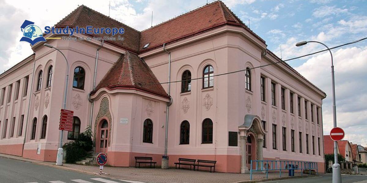 Review Học viện STING (Akademie STING)