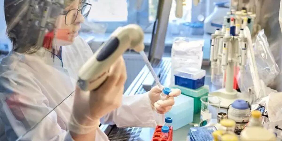 Sinh viên có nhiều cơ hội tích lũy thêm nhiều kinh nghiệm thực tiễn khi đến với trường Đại học Y Lodz