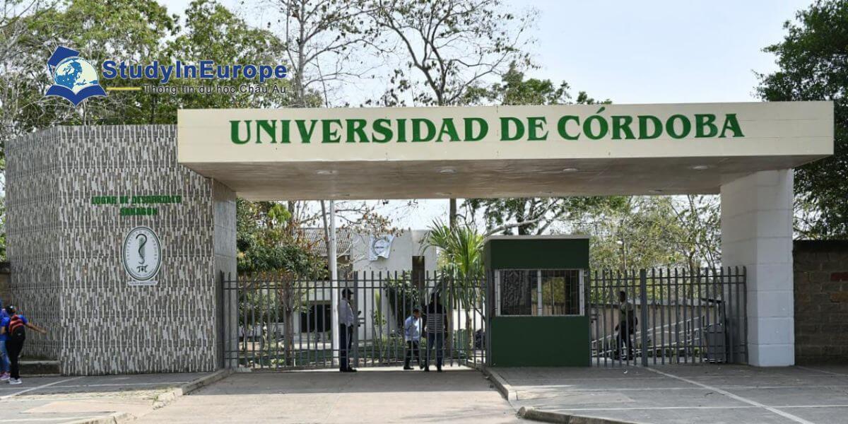 Review Trường Đại học Córdoba (Universidad de Córdoba)