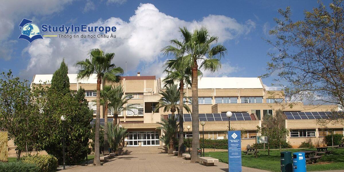 Review Trường Đại học Quần đảo Balearic (Universidad de les Illes Balears)
