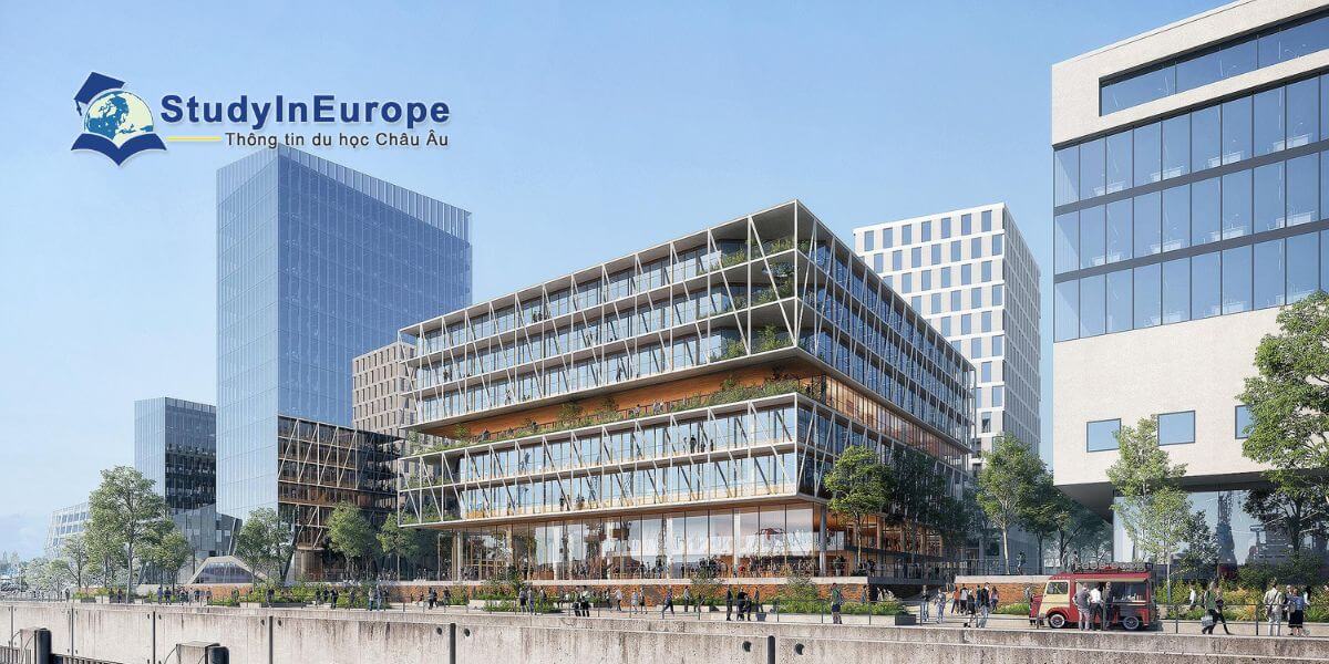 Trường Đại học Y Hamburg