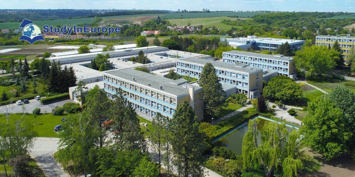 Review Trường Đại học Khoa học Đời sống Séc Praha (Ceská zemedelská univerzita v Praze)