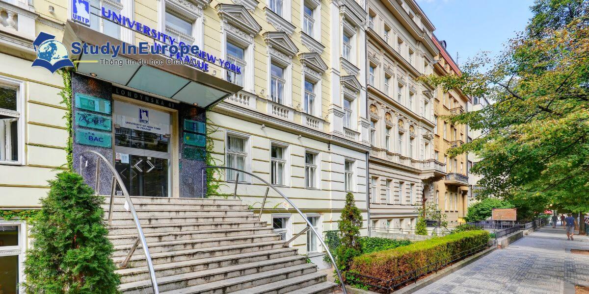 Review Trường Đại học New York ở Praha (University of New York in Prague)