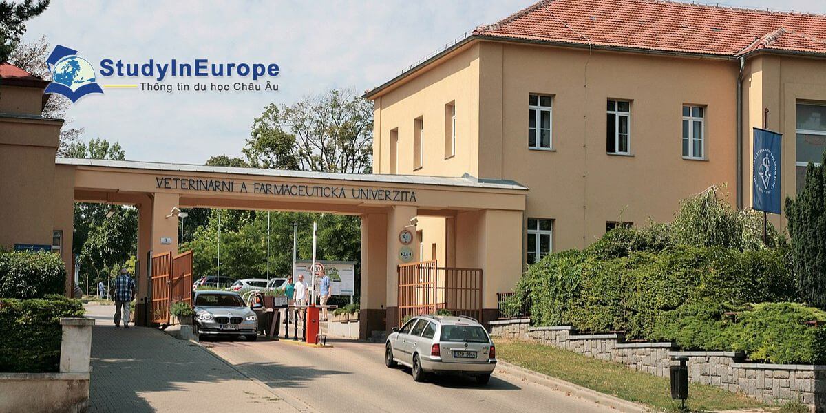Review Trường Đại học Thú y và Dược phẩm Brno (Veterinární a farmaceutická univerzita Brno)