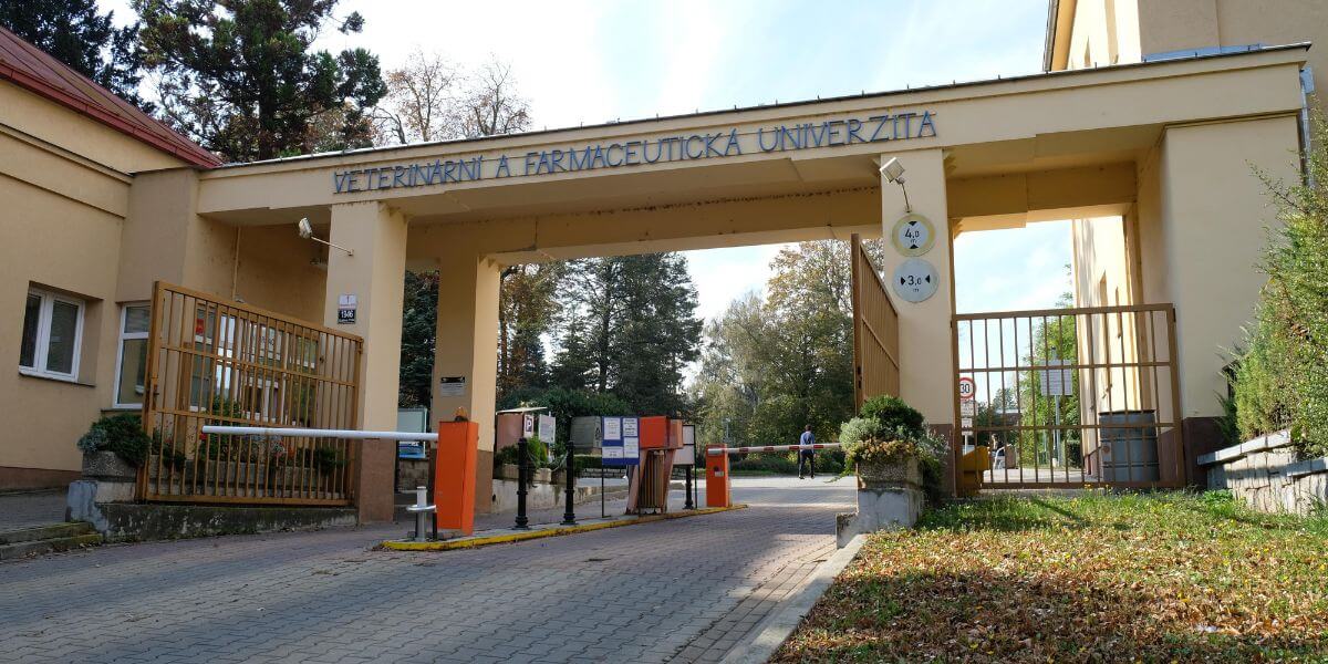 Trường Đại học Thú y và Dược phẩm Brno nổi tiếng với những chương trình học chất lượng