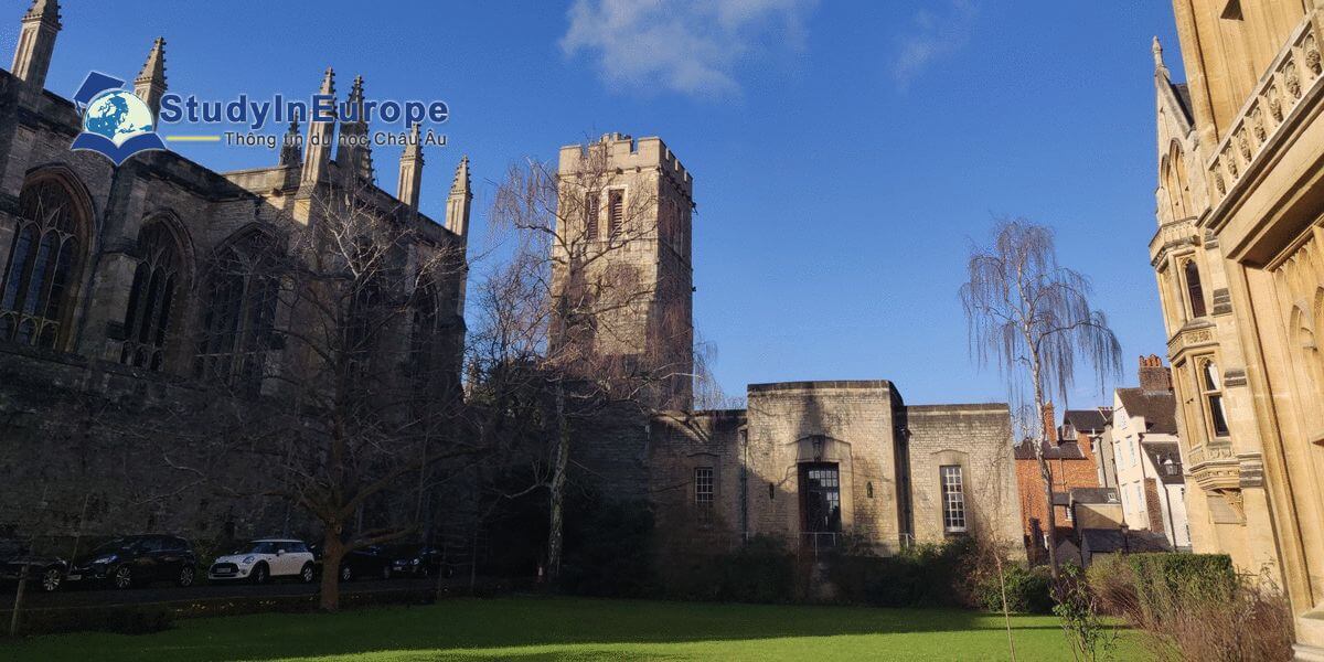 Review Trường Đại học Newton (Newton University)