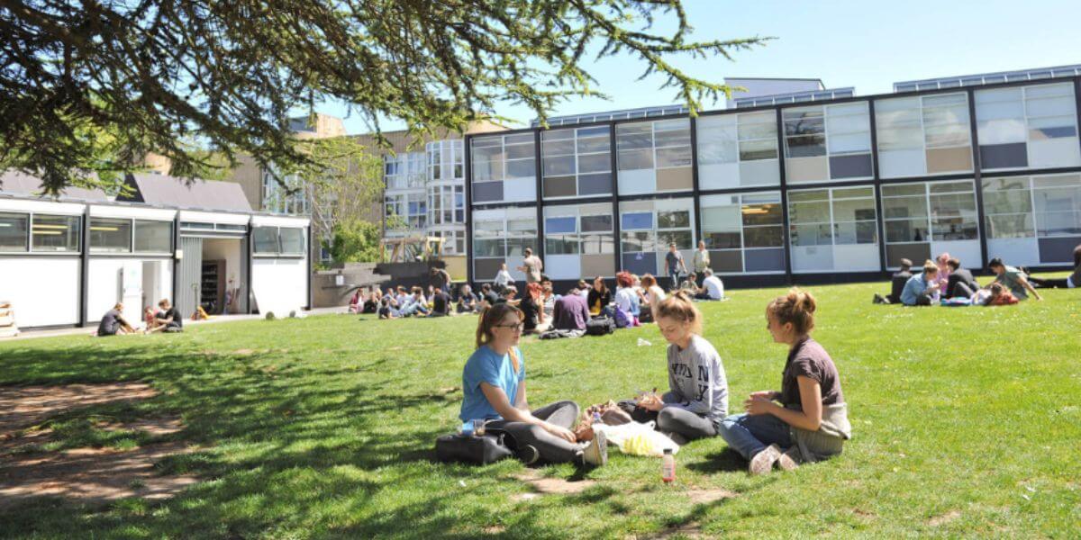 Khuôn viên xanh mát của trường Đại học Nghệ thuật Sáng tạo