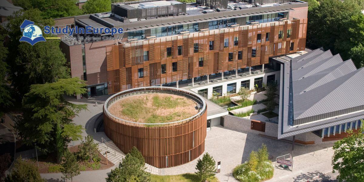 Review Trường Đại học Winchester (University of Winchester)