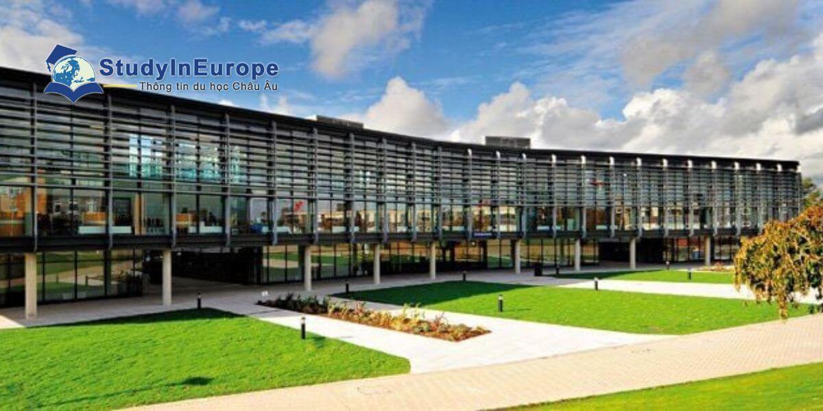 Review Trường Đại học Brighton (University of Brighton)