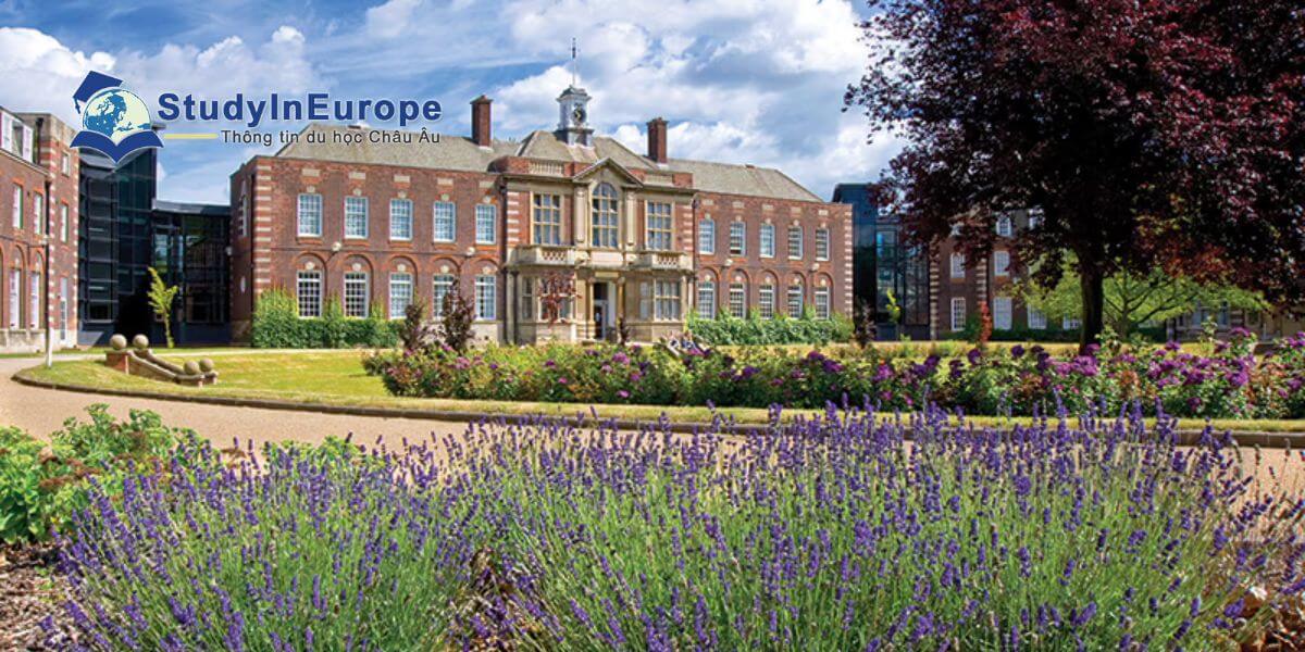 Trường Đại học Hull