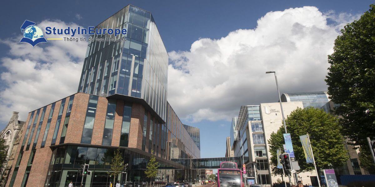 Review Trường Đại học Ulster (Ulster University)