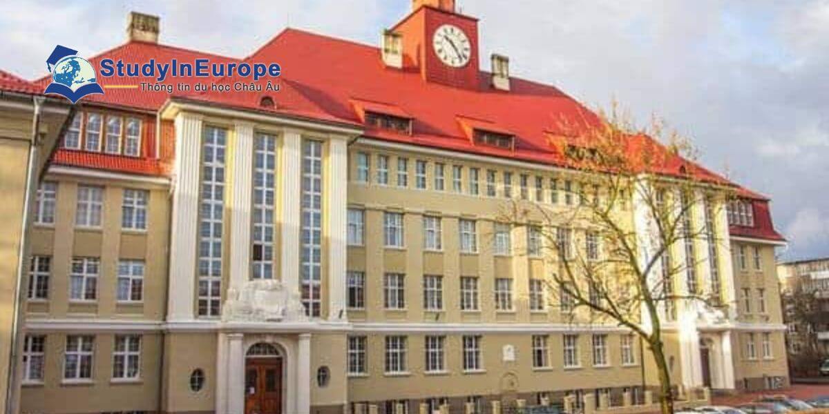 Review Trường Đại học Liên bang Baltic Immanuel Kant (Immanuel Kant Baltic Federal University)