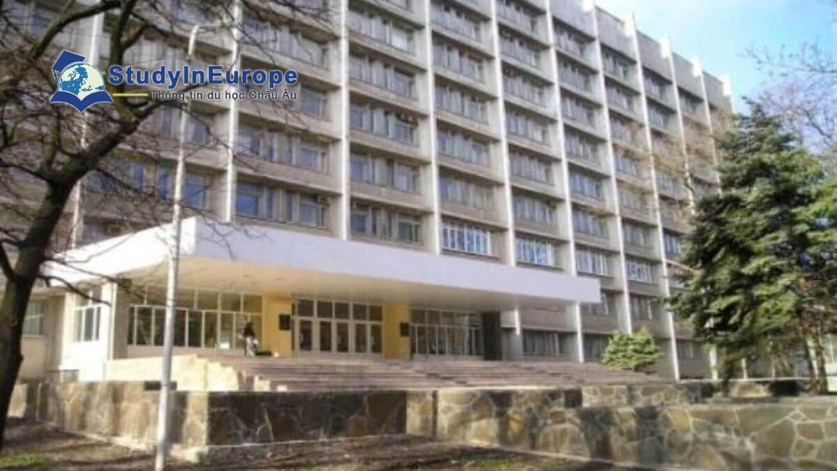 Review Trường Đại học Y khoa Rostov (Rostov State Medical University)