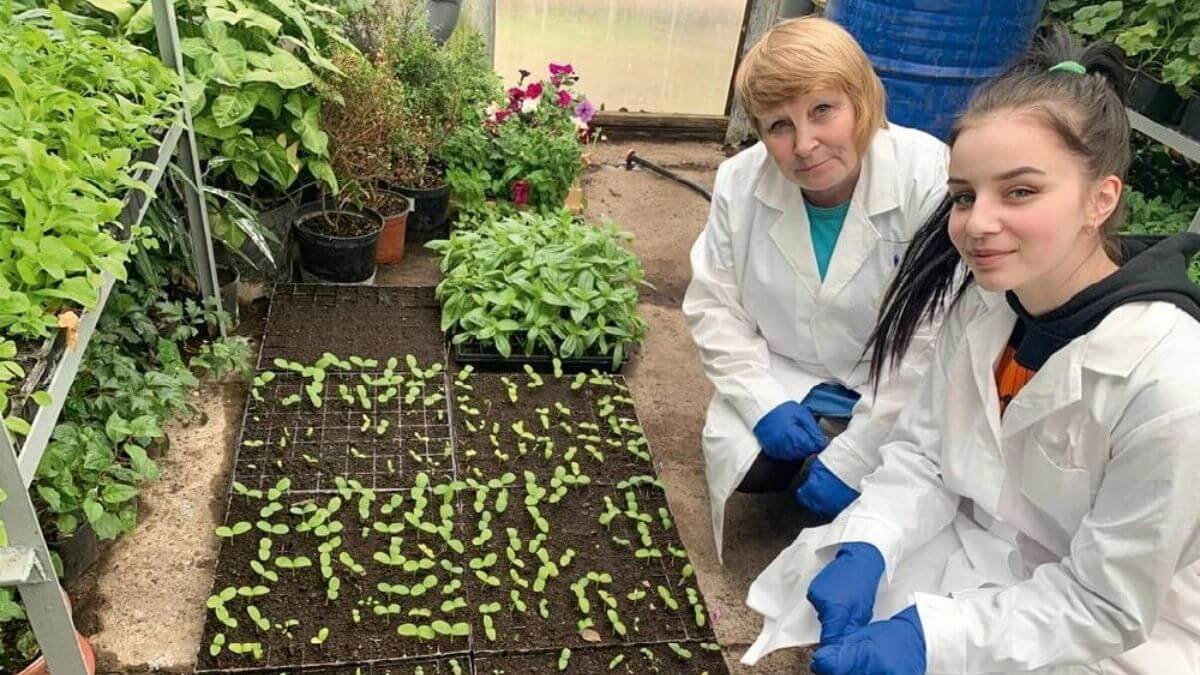 Những khóa học thực tiễn tại trường Đại học Nông nghiệp Kazan