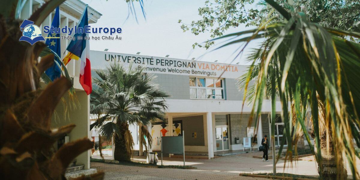 Review Trường Đại học Perpignan Via Domitia (Université de Perpignan Via Domitia)