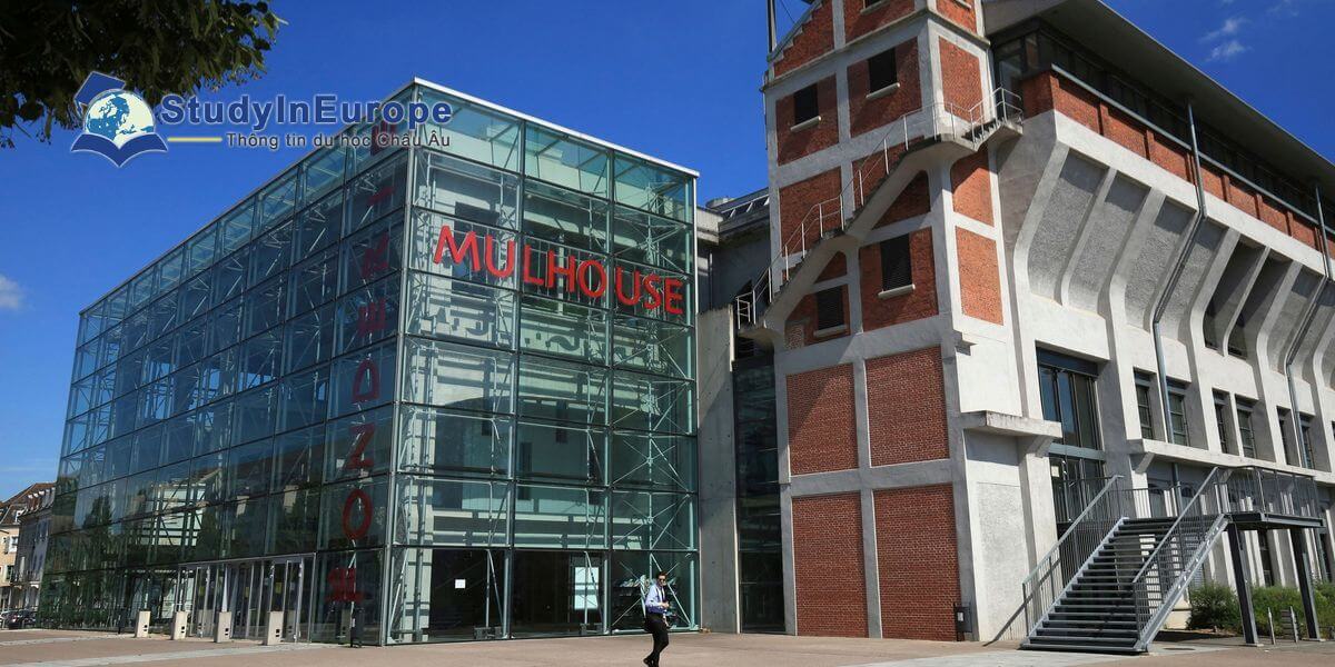 Review Trường Đại học Upper Alsace (Université de Haute-Alsace)