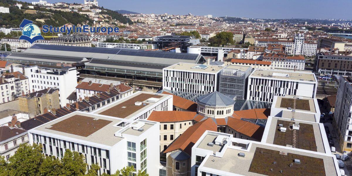 Trường Đại học Công giáo Lyon