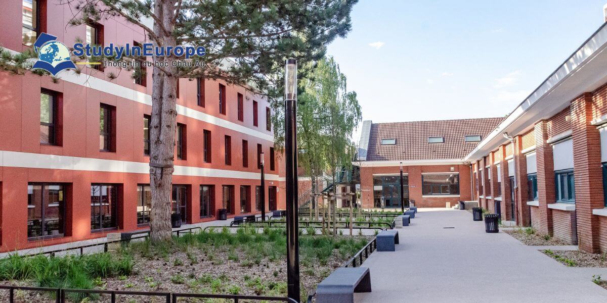 Trường Đại học EFREI