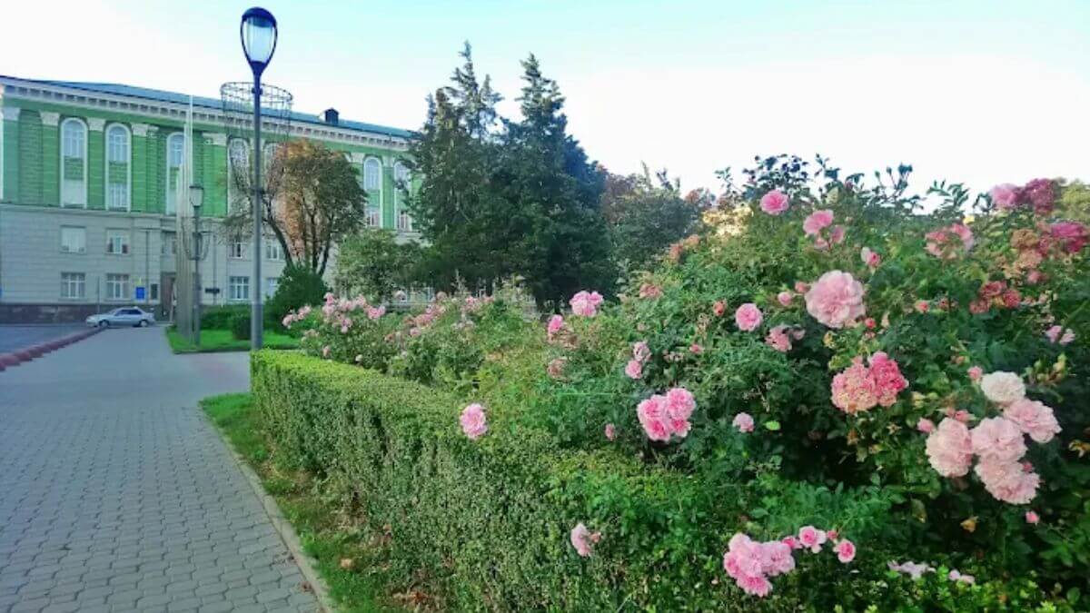 Khuôn viên xanh mát của trường Đại học Y khoa Quốc gia I Horbachevsky Ternopil