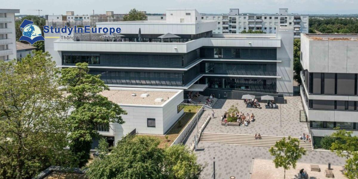 Review Trường Đại học Tin Lành Freiburg (Evangelische Hochschule Freiburg)