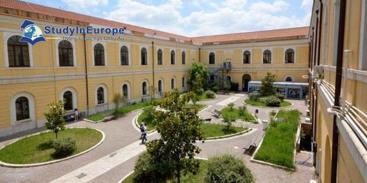Trường Đại học Foggia