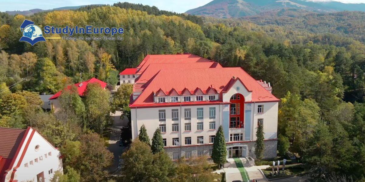 Review Trường Đại học Petrosani (Universitatea din Petrosani)