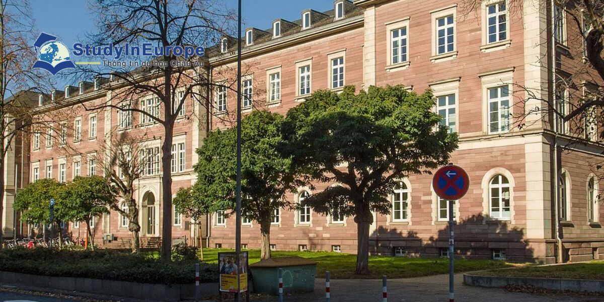 Review Trường Đại học Sư phạm Karlsruhe (Pädagogische Hochschule Karlsruhe)