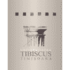 Tibiscus University of Timisoara